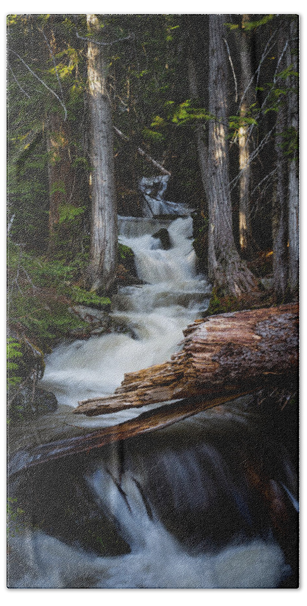 Waterfall Hand Towel featuring the photograph Silver Falls by Jason Roberts