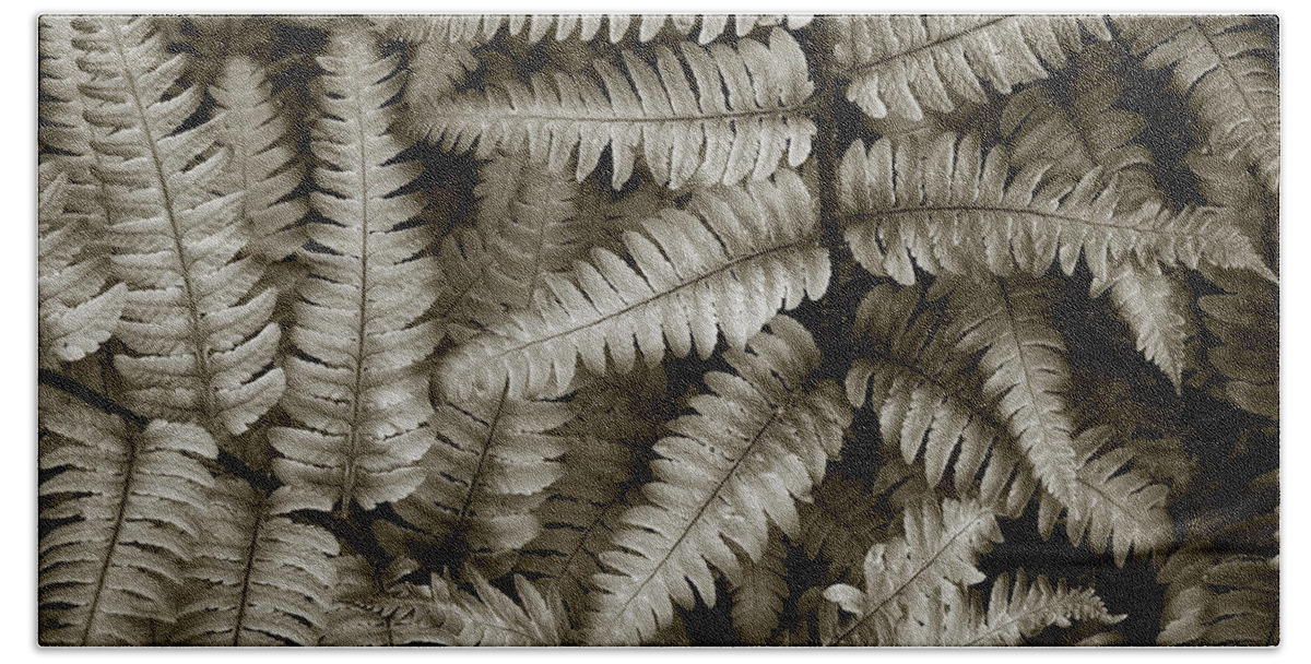 Ferns Hand Towel featuring the photograph Silvery Ferns by David Gordon