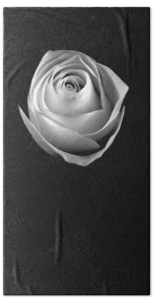 Roses Bath Towel featuring the photograph Simple Elegance by Elsa Santoro