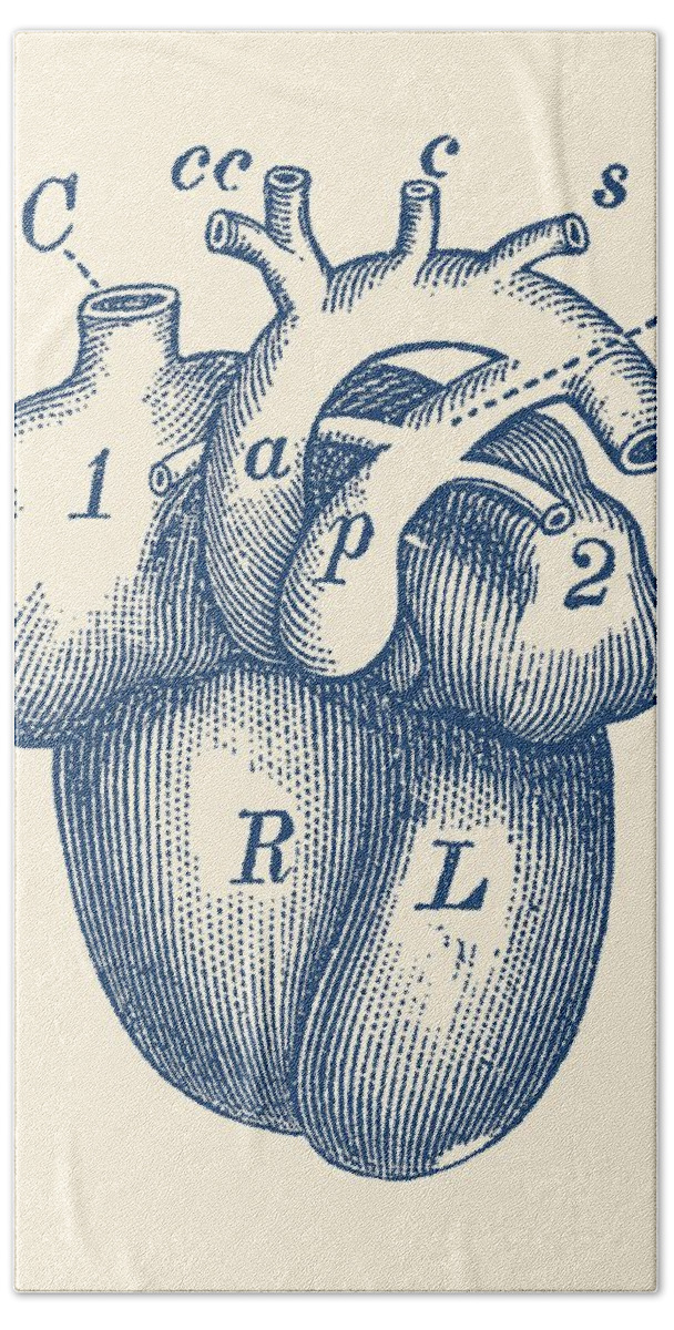Human Heart Diagram - Vintage Anatomy Tote Bag by Vintage Anatomy Prints -  Fine Art America