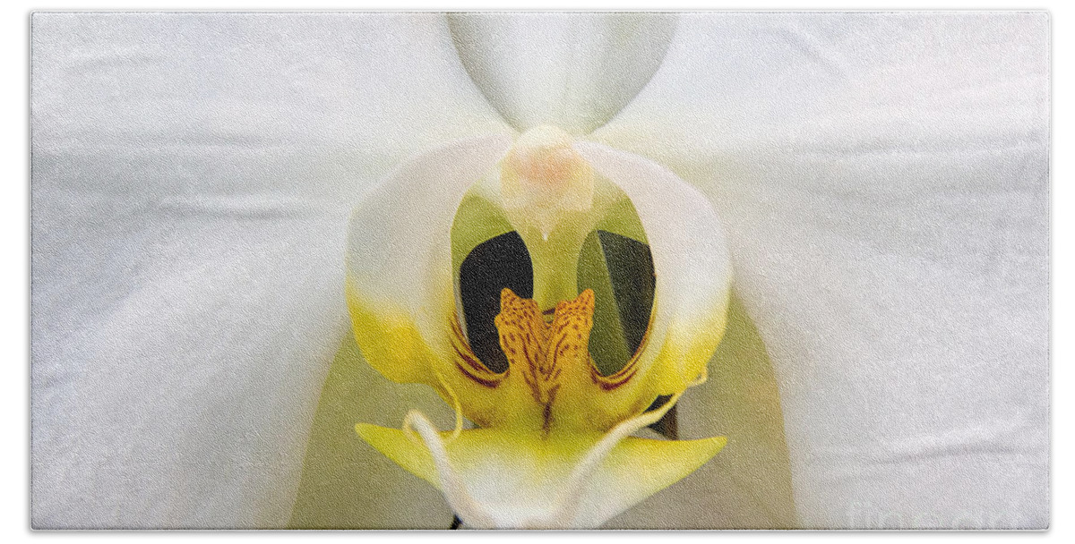 Simplicitymoth Orchid Bath Towel featuring the photograph Simplicity by Jemmy Archer