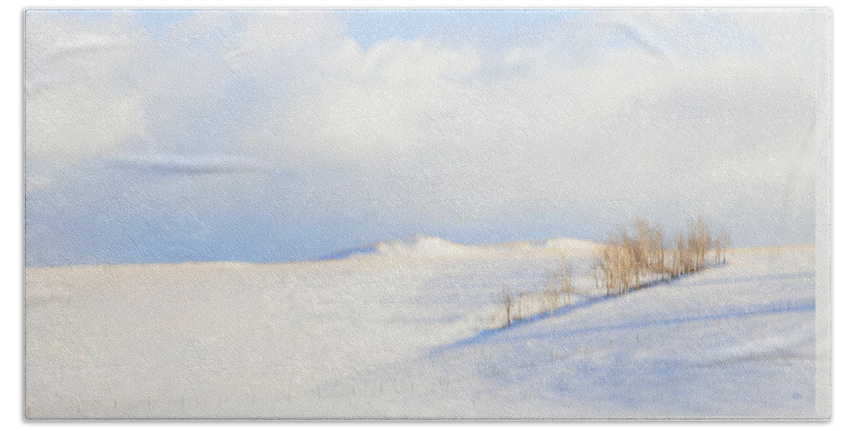 Minimalism Bath Towel featuring the photograph Simply Snow Landscape by Theresa Tahara