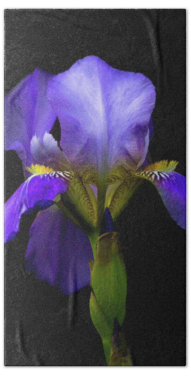 Purple Iris Hand Towel featuring the photograph Simply Stunning by Penny Meyers