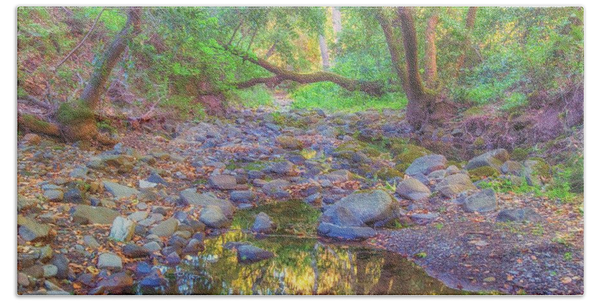 Landscape Bath Towel featuring the photograph Sinbad Creek at Pleasanton Ridge by Marc Crumpler