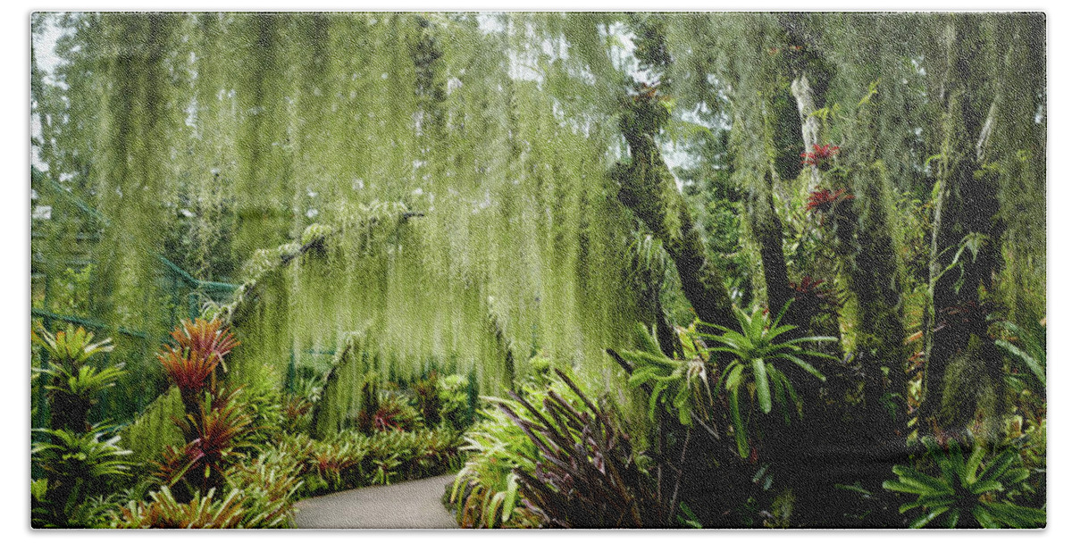 Singapore Botanic Gardens Bath Towel featuring the photograph Singapore Orchid Garden by Jocelyn Kahawai