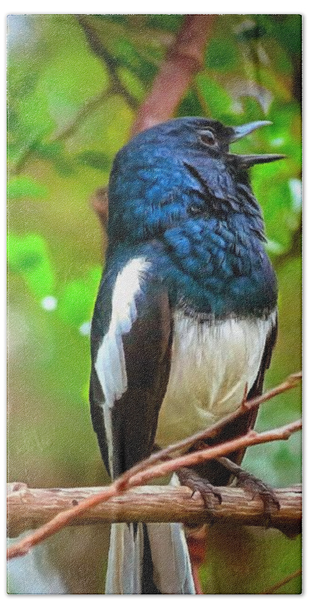 Bird Hand Towel featuring the digital art Singing Ceylonese Robin-Magpie by Sarah Sever