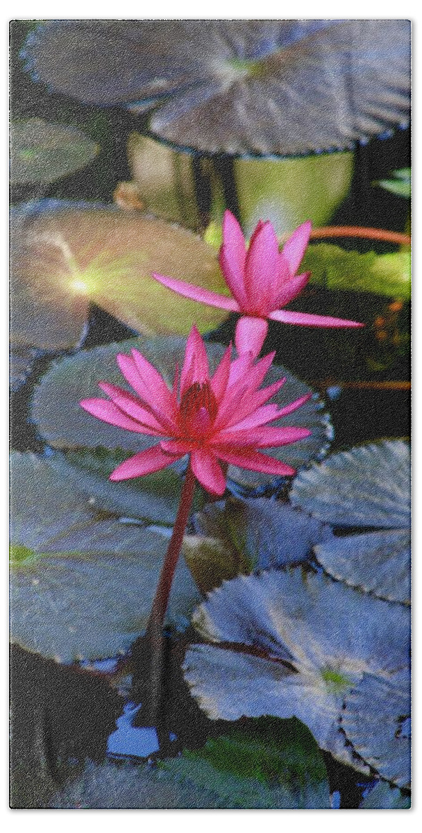 Mckee Botanical Garden Hand Towel featuring the photograph Singing Pink Lotus Blooms at McKee Garden by M E