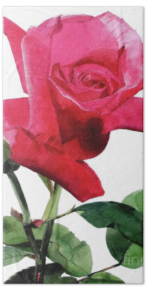 Greta Corens Watercolors Hand Towel featuring the painting Watercolor of a Single Bright Red Rose Unfolding by Greta Corens