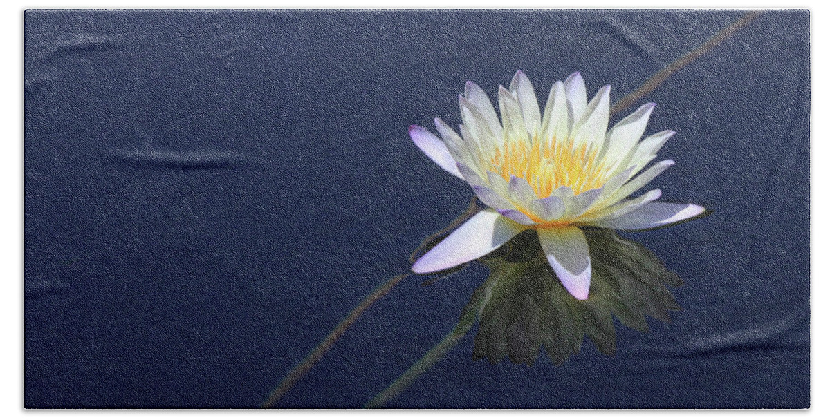 Lotus Hand Towel featuring the photograph Single Lotus by Paula Guttilla