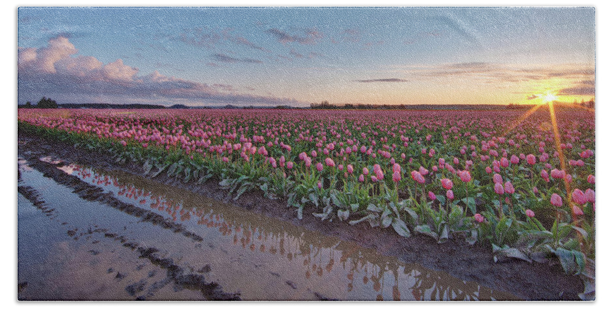 Skagit Valley Tulip Festival Bath Sheet featuring the photograph Skagit Valley Tulip Reflections by Mike Reid