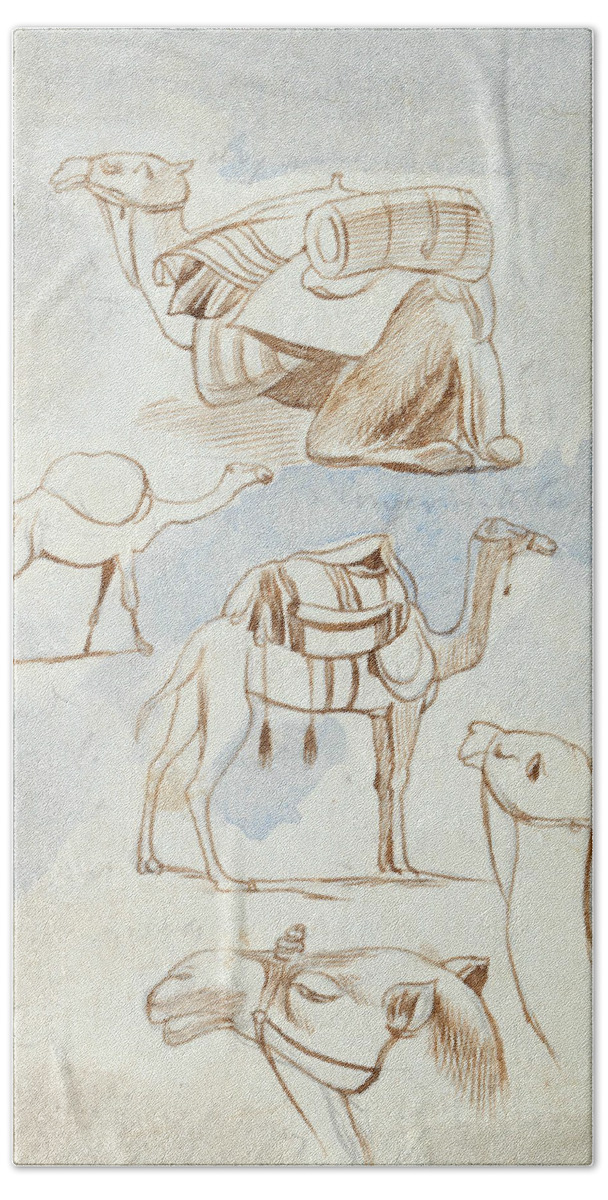English Art Bath Towel featuring the drawing Sketch studies of camels by Edward Lear
