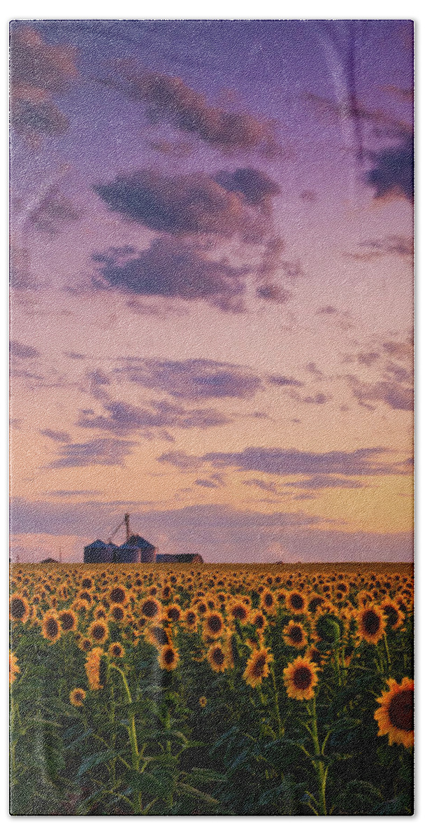 Colorado Bath Towel featuring the photograph Skies Above The Sunflower Farm by John De Bord