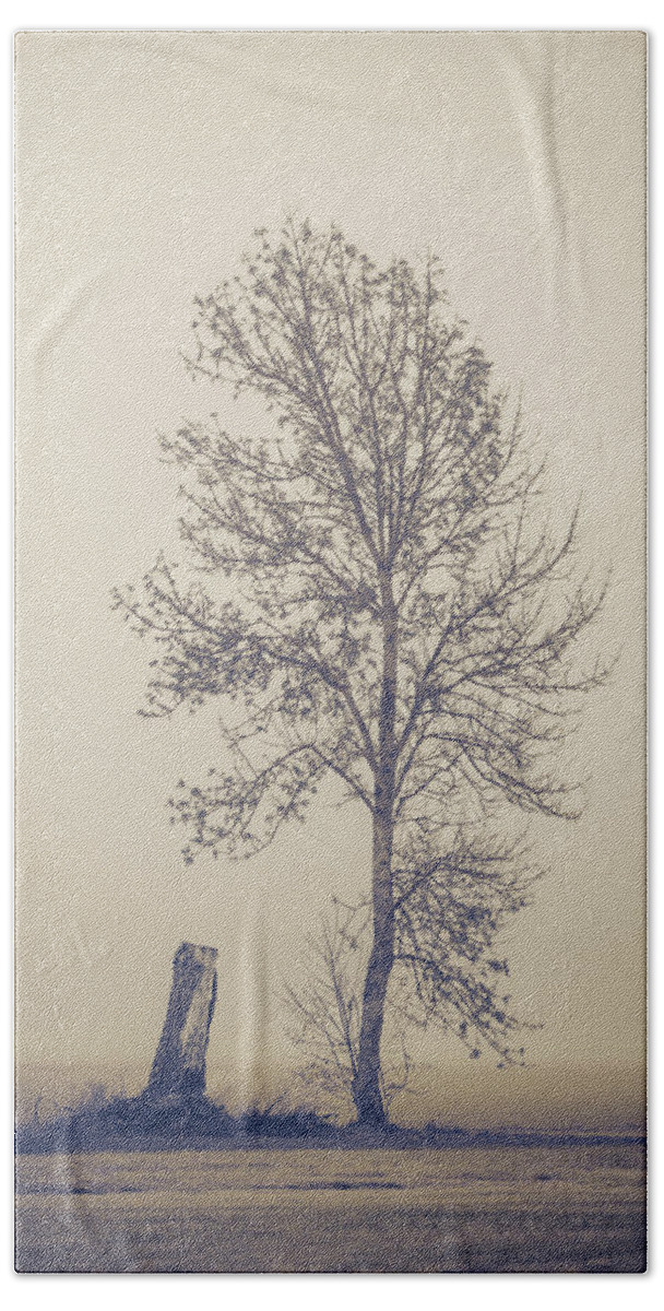 Tree Hand Towel featuring the photograph Skinny Tree by Catherine Avilez