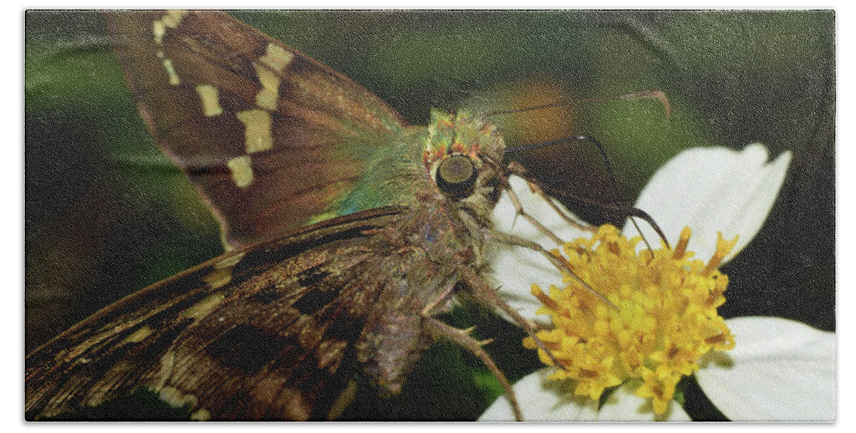 Photograph Bath Towel featuring the photograph Skipper Butterfly by Larah McElroy
