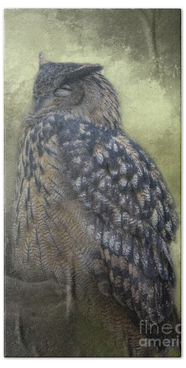 Eurasian Eagle-owl Hand Towel featuring the photograph Sleeping Beauty by Eva Lechner