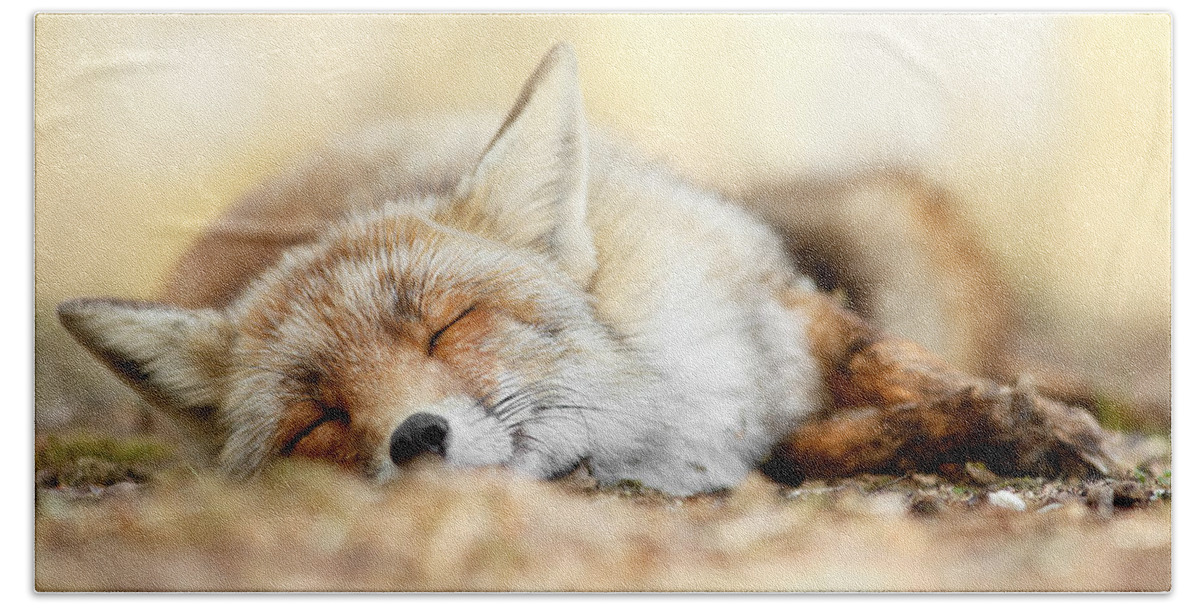 Red Fox Bath Towel featuring the photograph Sleeping Beauty -Red fox in rest by Roeselien Raimond