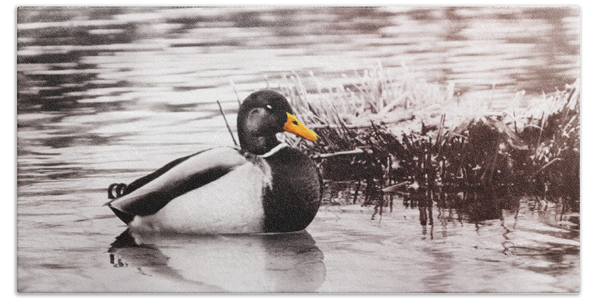 Duck Bath Towel featuring the photograph Sleeping Duck by Jaroslav Buna