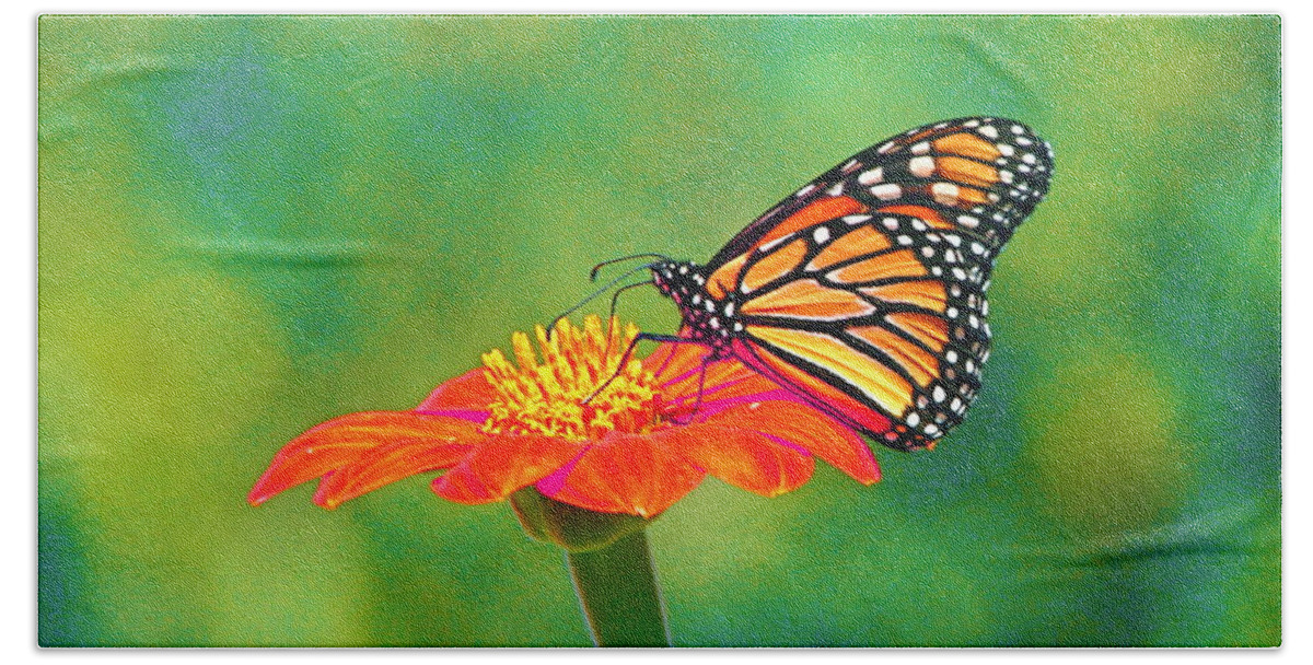 Monarch Bath Towel featuring the photograph Small Wonders by Byron Varvarigos