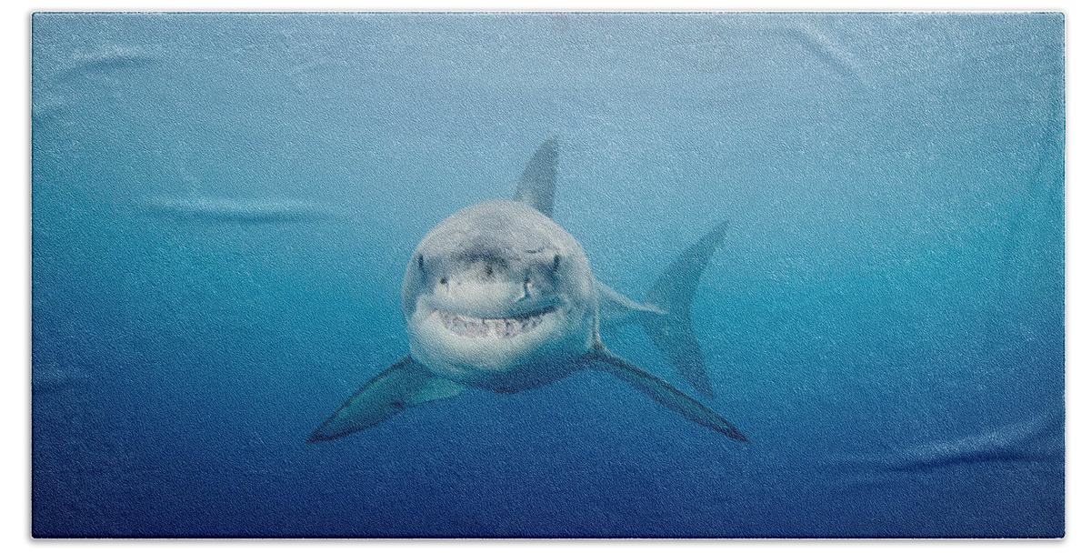 Animal Hand Towel featuring the photograph Smiling Great White Shark by Dave Fleetham - Printscapes