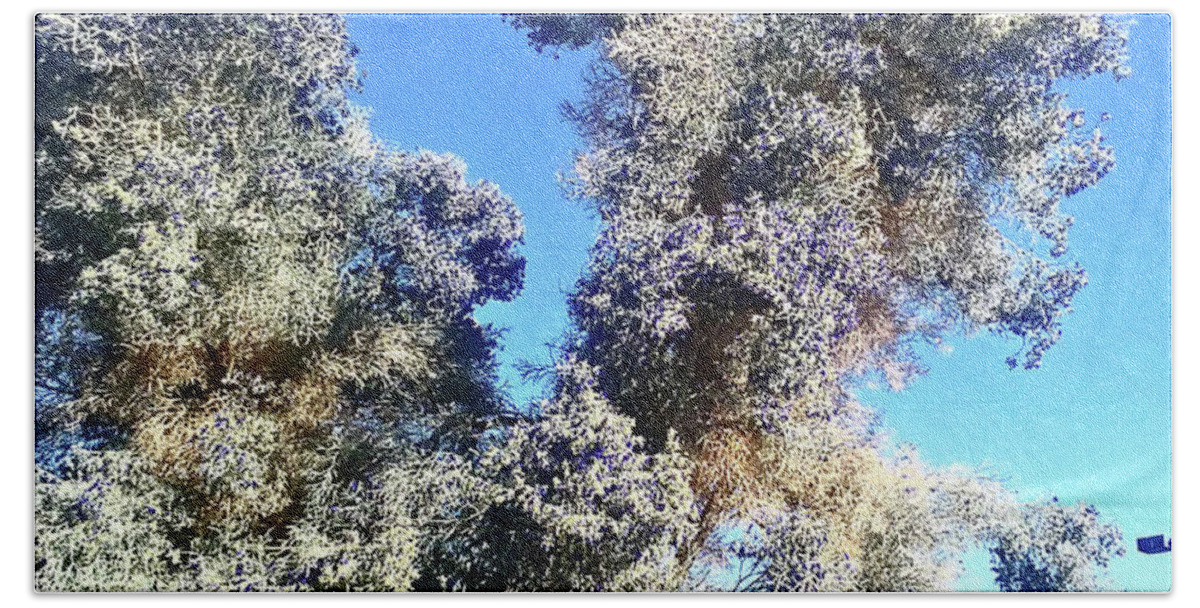 Garden Bath Towel featuring the photograph Smoke Tree In Bloom With Blue Purple Flowers by Jay Milo
