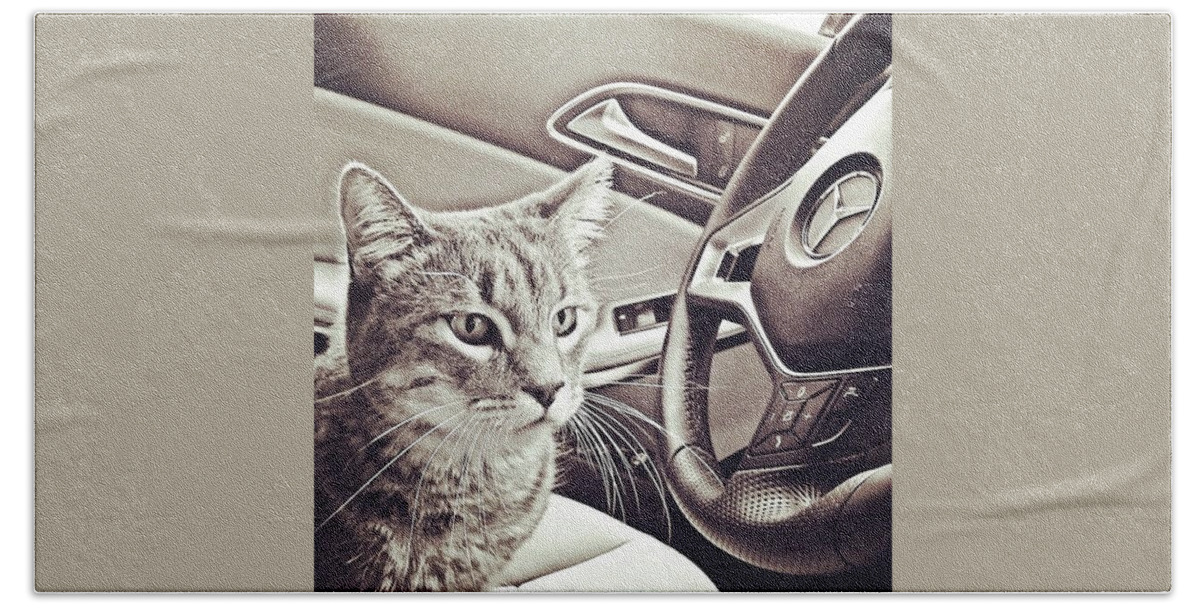 Beautiful Bath Towel featuring the photograph Smokey Loves The Mercedes Cla Too! by Austin Tuxedo Cat