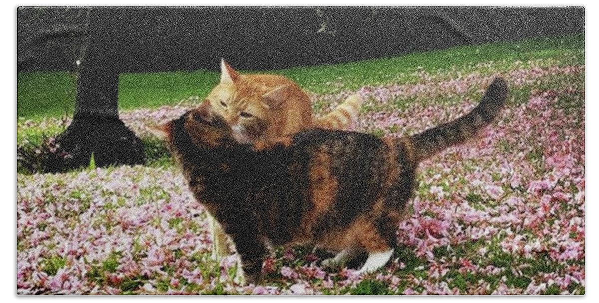 Cat Bath Towel featuring the photograph Cherry Blossom Kiss by Rowena Tutty