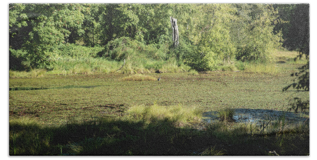 Snag And Heron Bath Towel featuring the photograph Snag and Heron by Tom Cochran
