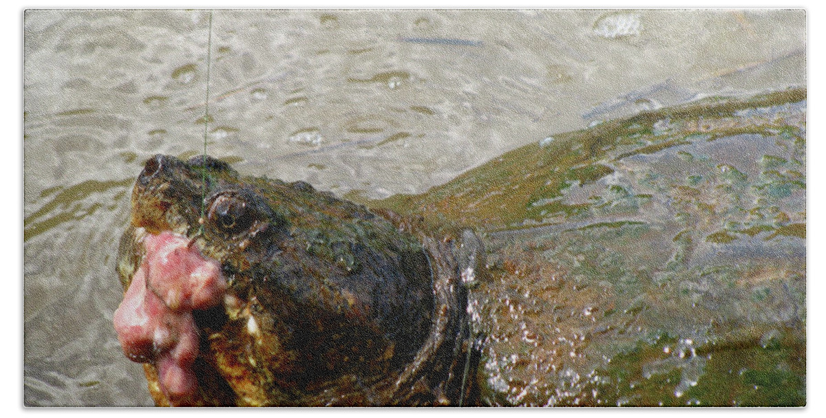Fishing Bath Towel featuring the photograph Snapper Turtle by Donna Brown