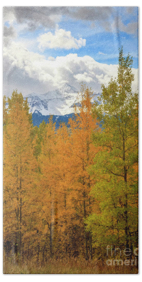 Colorado Hand Towel featuring the photograph Snow Capped Mountains on a fall day by Ronda Kimbrow