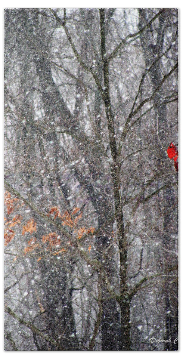 Snow Hand Towel featuring the photograph Snow Cardinal by Deborah Crew-Johnson