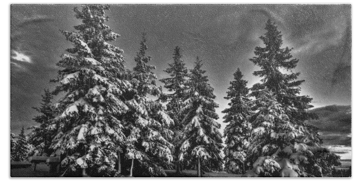 Winter Hand Towel featuring the photograph Snow covered trees bw by Ivan Slosar