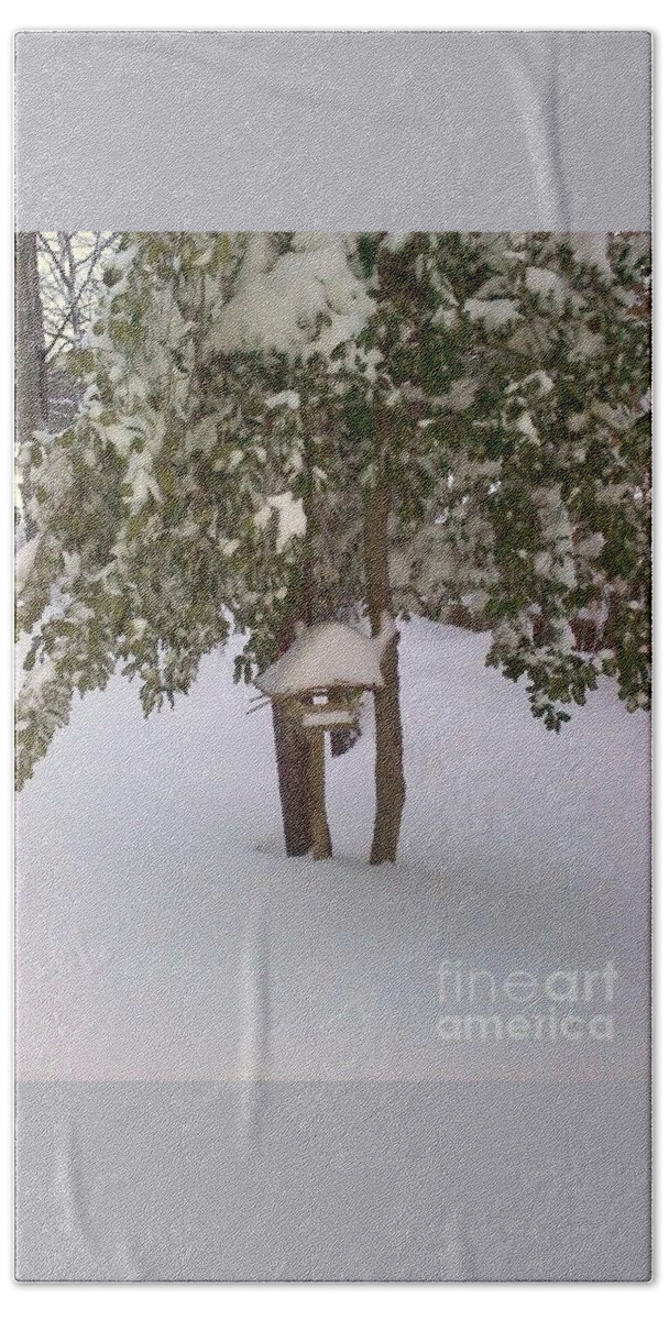  Trees Hand Towel featuring the photograph Snow day in Prince William County, VA by Jimmy Clark