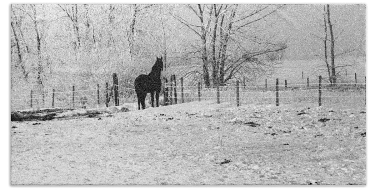 Horse Ward County North Dakota Bath Towel featuring the photograph Snow Horse by William Kimble