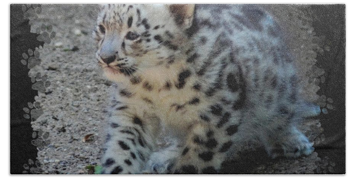 Terry Deluco Bath Towel featuring the photograph Snow Leopard Cub Paws Border by Terry DeLuco
