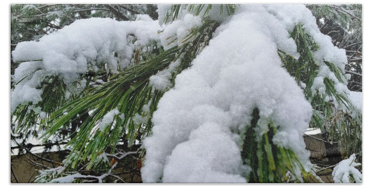 Snow Hand Towel featuring the photograph Snow on Evergreen Branch by Vic Ritchey