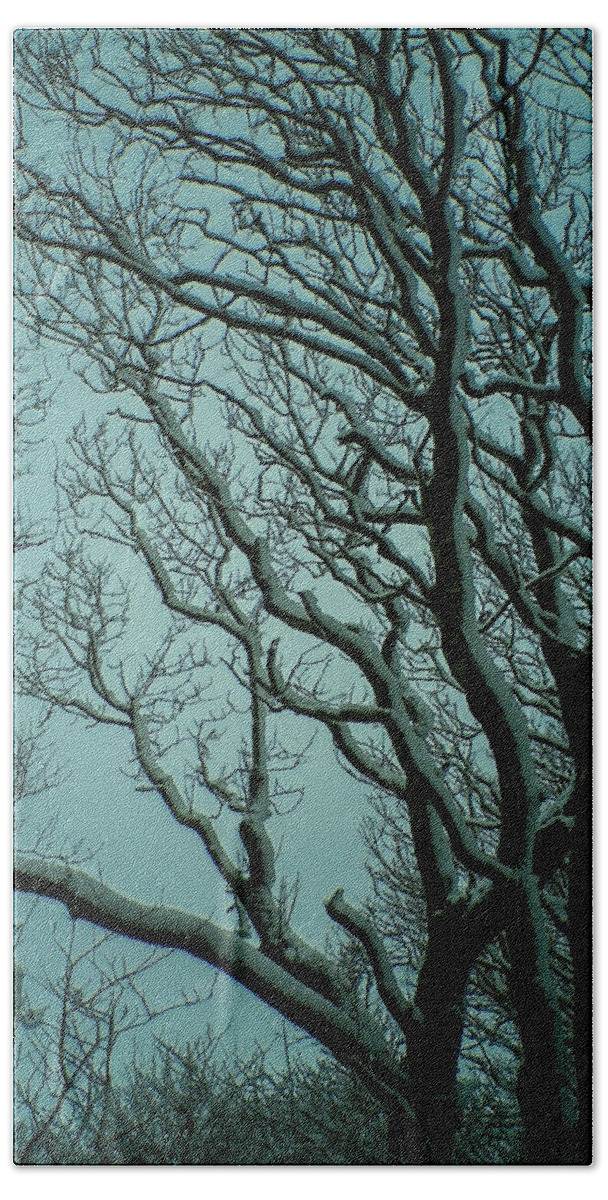 Snow Hand Towel featuring the photograph Snowy Branches by Richard Brookes