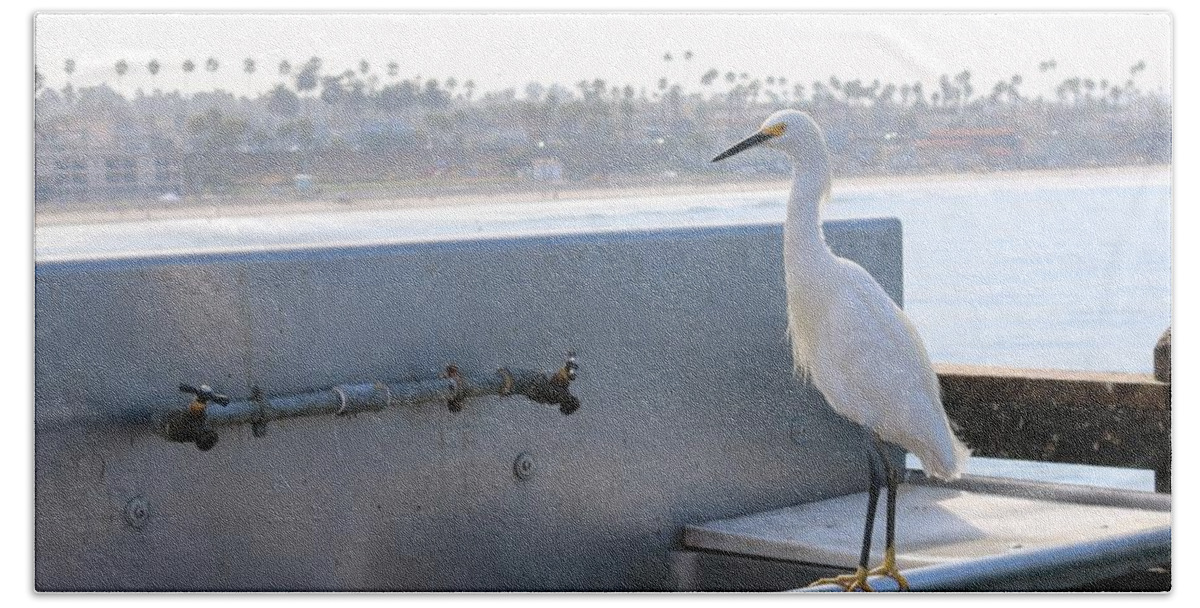 Snowy Bath Towel featuring the photograph Snowy Egret - 2 by Christy Pooschke