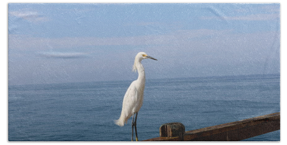 Snowy Bath Towel featuring the photograph Snowy Egret - 4 by Christy Pooschke