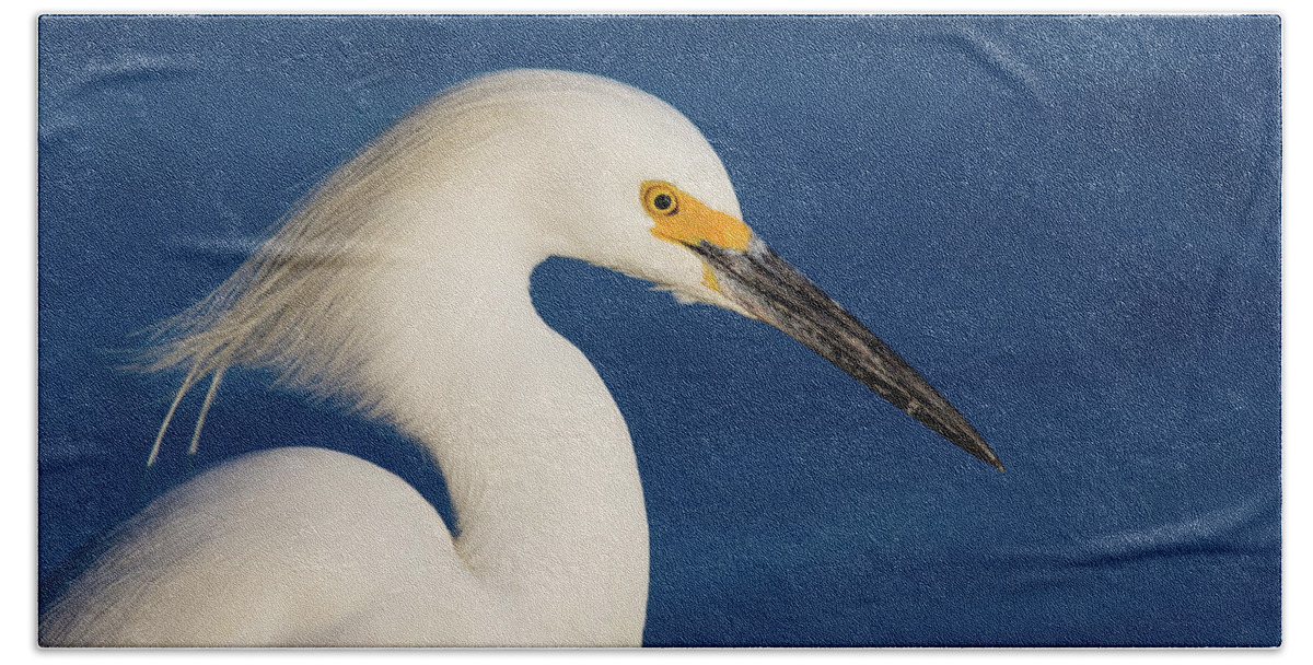 Snowy Egret Hand Towel featuring the photograph Snowy Egret by Brian Knott Photography