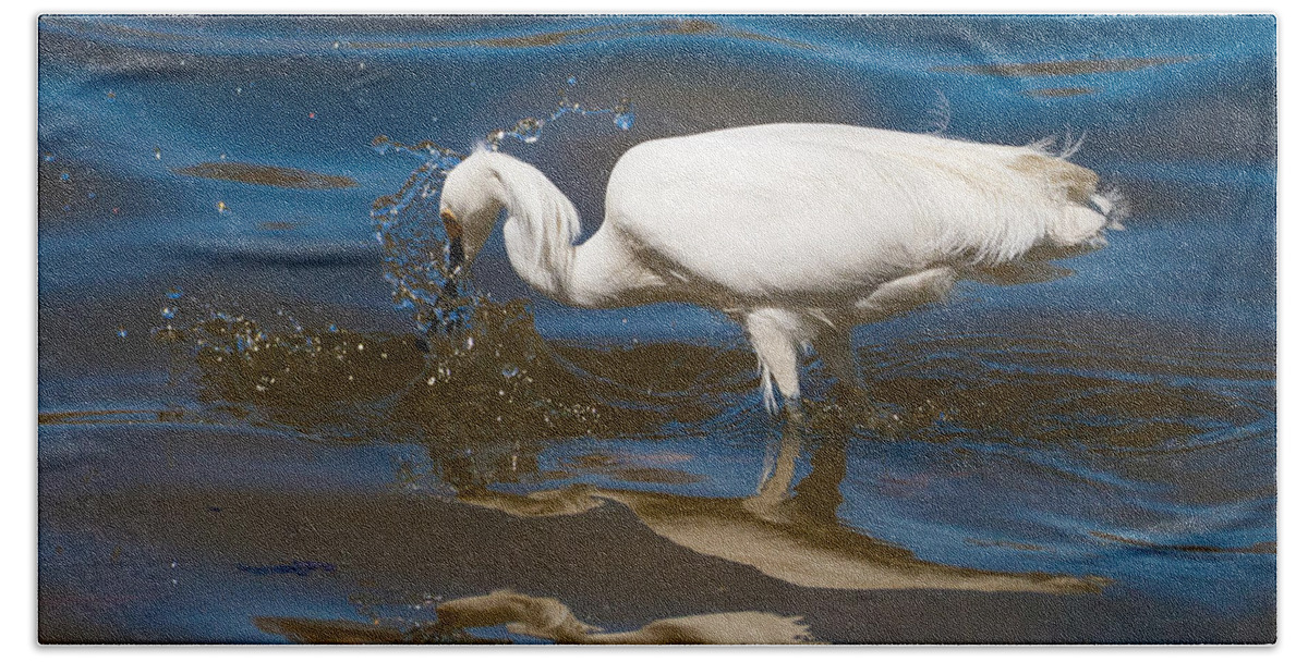 Snowy Egret Hand Towel featuring the photograph Snowy Egret fishing #3 by Mindy Musick King