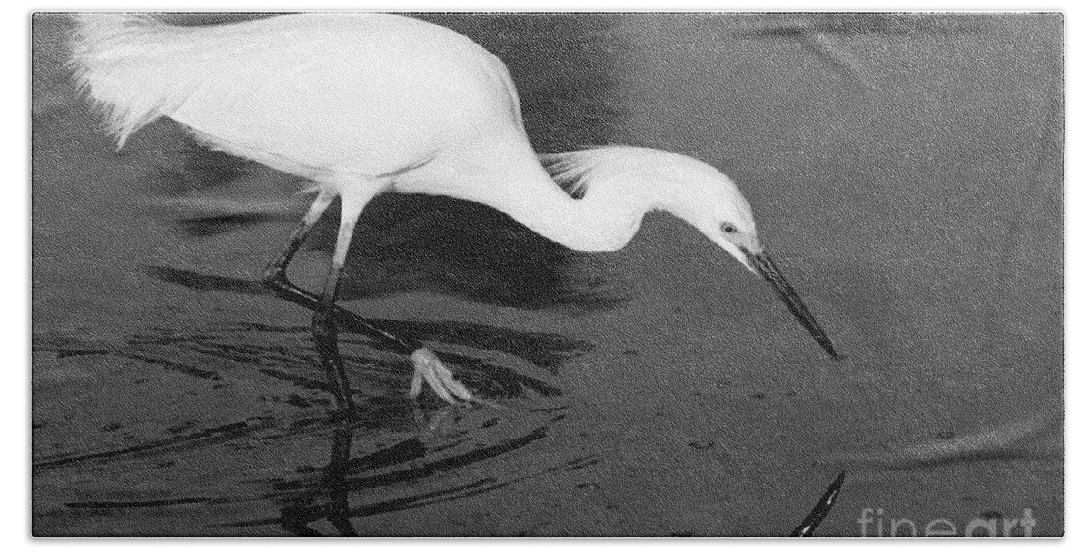 Egret Hand Towel featuring the photograph Snowy Egret Fishing by John Harmon