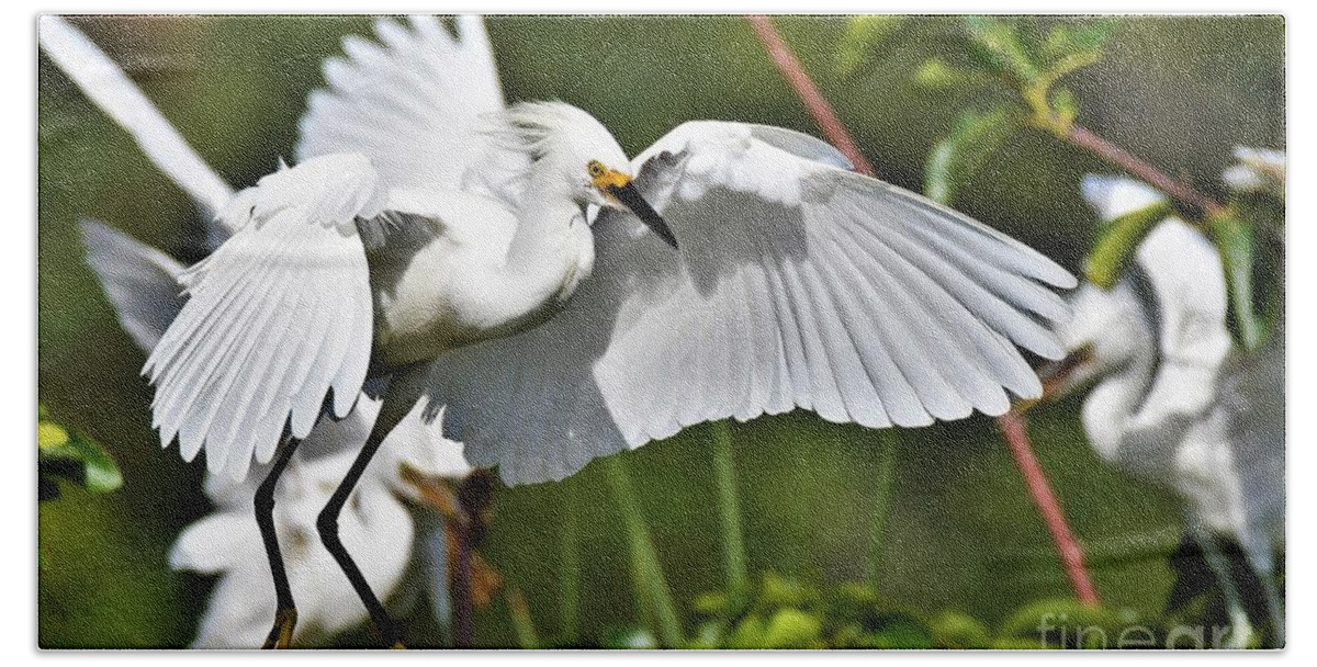 Snowy Egret Hand Towel featuring the photograph Snowy Egret Flying In by Julie Adair