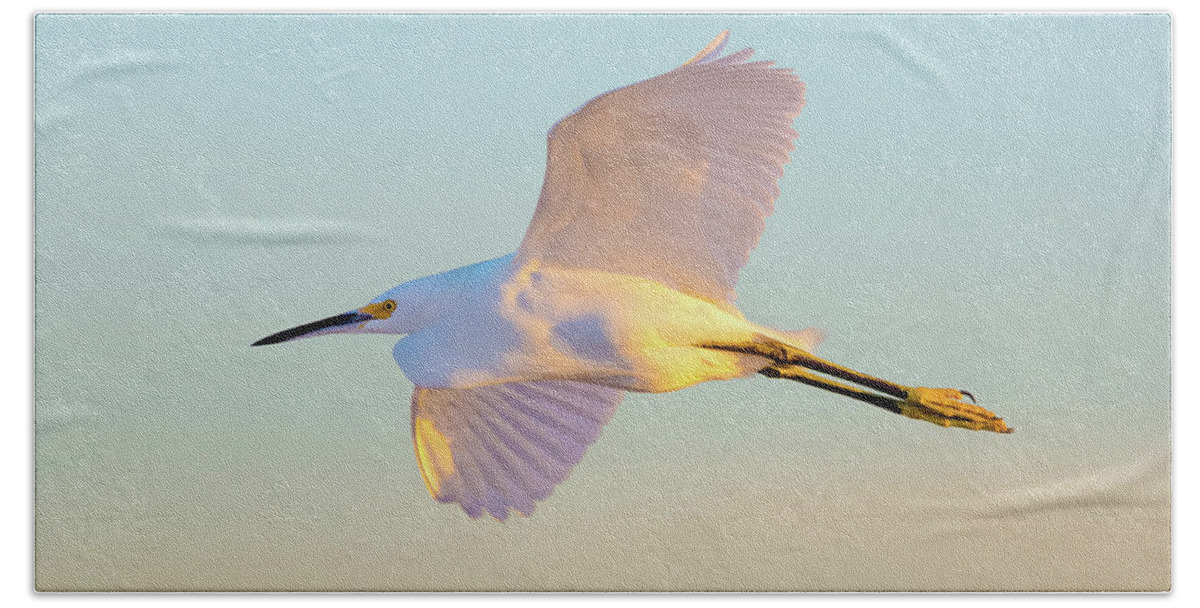 Snowy Egret Hand Towel featuring the photograph Snowy Egret in Flight by Brian Knott Photography