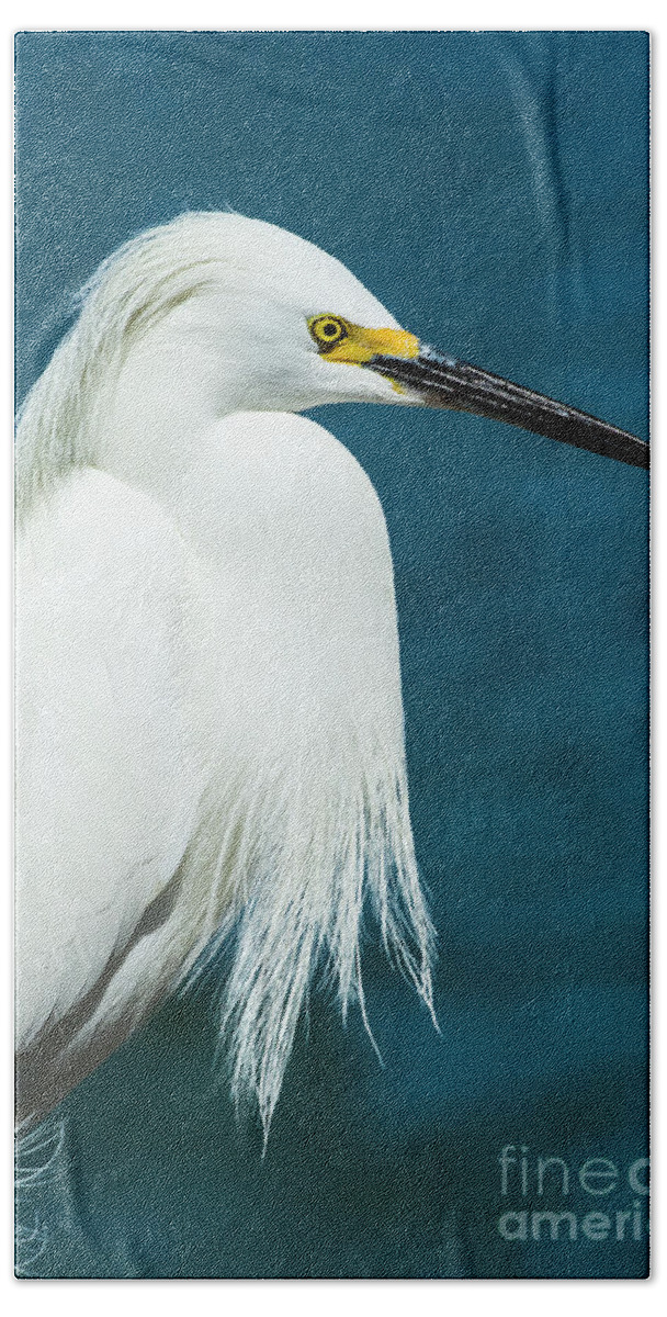 Aquatic Hand Towel featuring the mixed media Snowy Egret Portrait by Stefano Senise