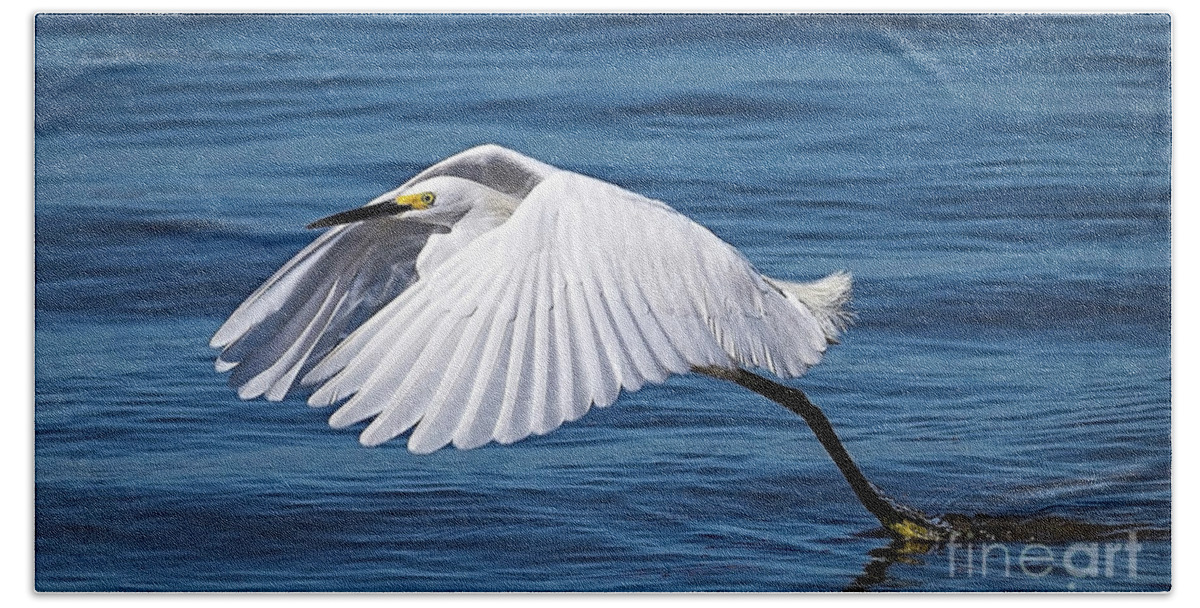Egret Hand Towel featuring the photograph Snowy Liftoff by DB Hayes