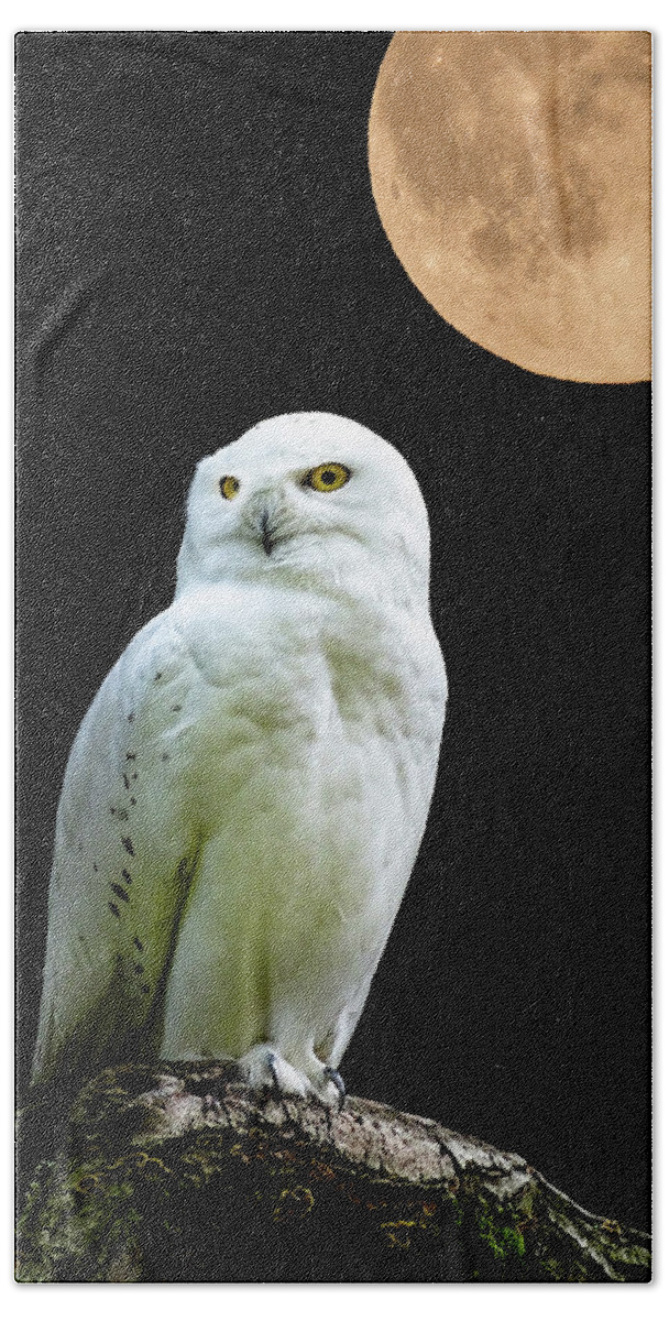 Snowy Owl Bath Towel featuring the photograph Snowy owl Under the Moon by Scott Carruthers