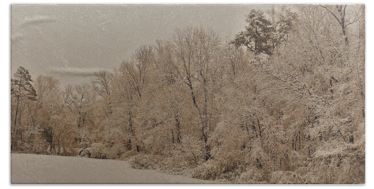 Trees Bath Towel featuring the photograph Snowy White Limbs with Zeke filter by Ali Baucom
