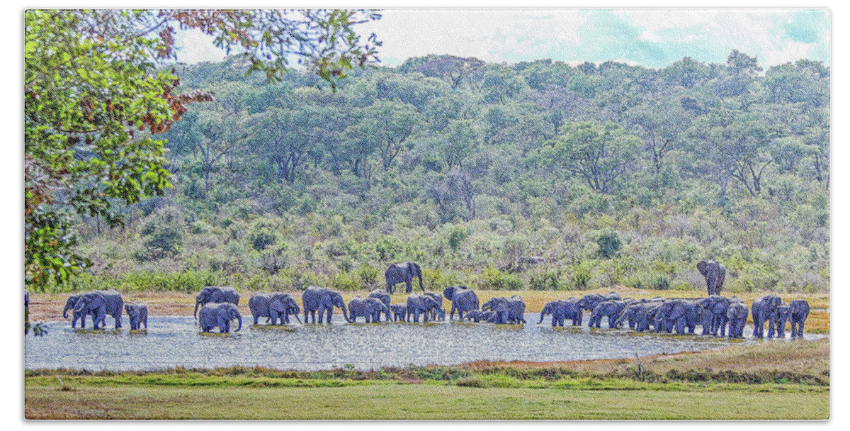 Elephants Hand Towel featuring the photograph So Many by Peggy Blackwell