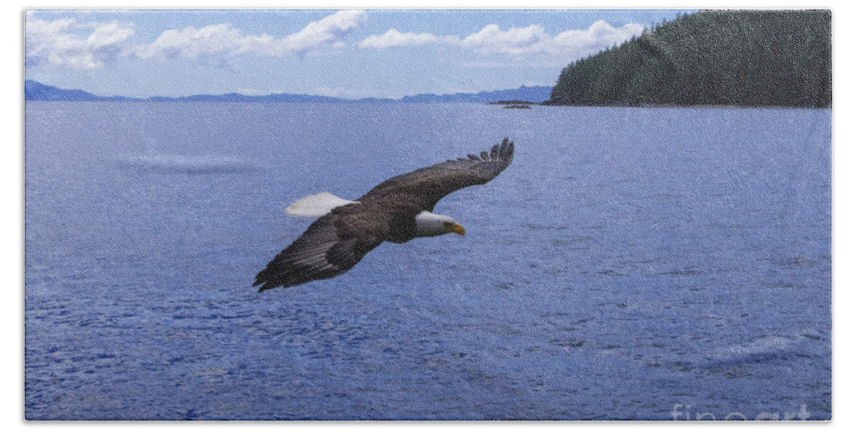 Eagle Bath Towel featuring the photograph Soaring Eagle by Louise Magno