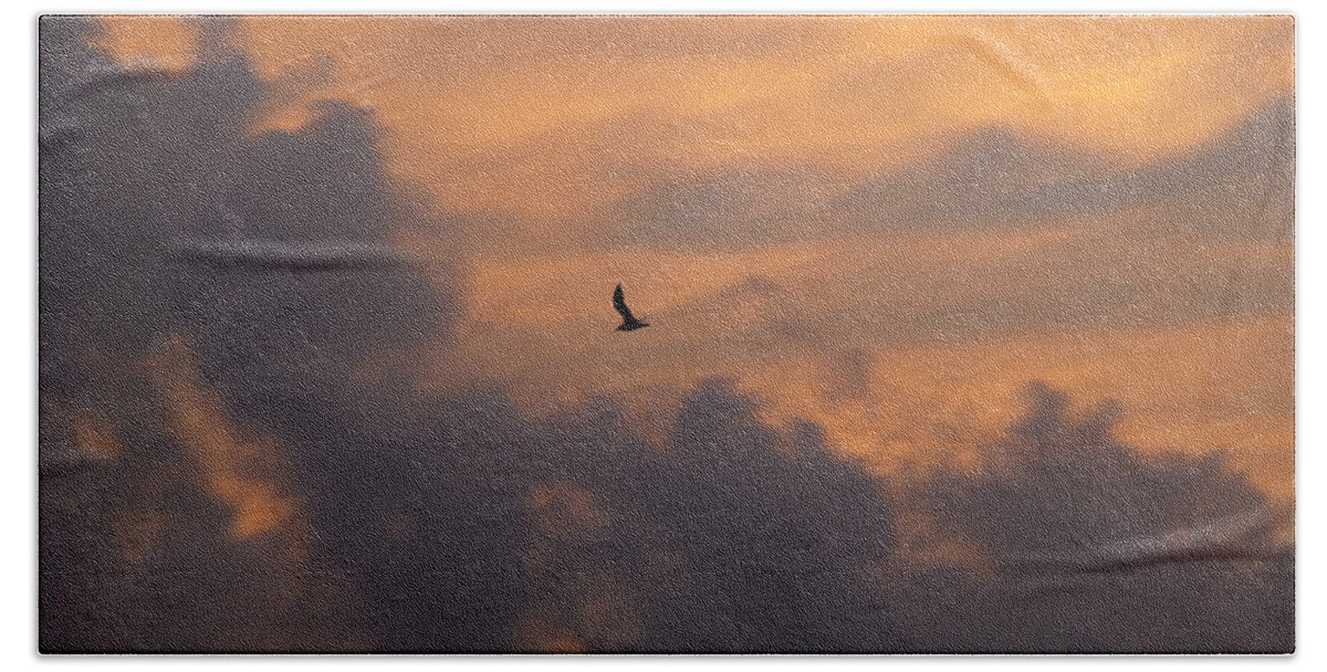 Bird Bath Towel featuring the photograph Soaring into the Sunset by Richard Bryce and Family